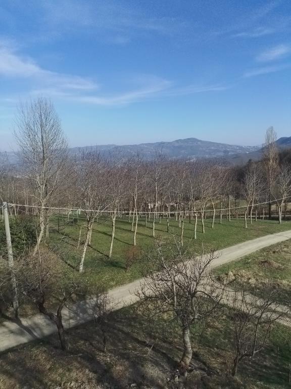 appartamento in vendita a Fanano in zona Lotta