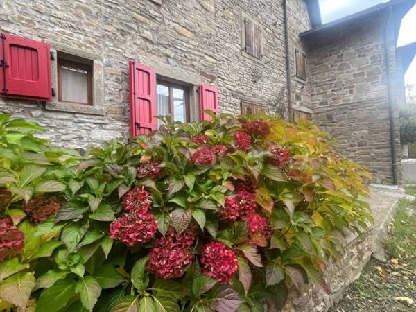 casa indipendente in vendita a Fanano