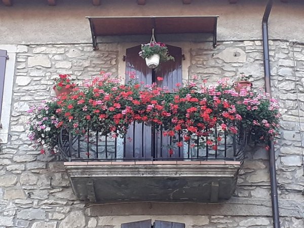pentavano in vendita a Fanano
