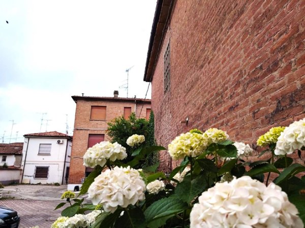 appartamento in vendita a Finale Emilia