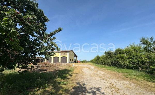 terreno agricolo in vendita a Finale Emilia in zona Massa Finalese