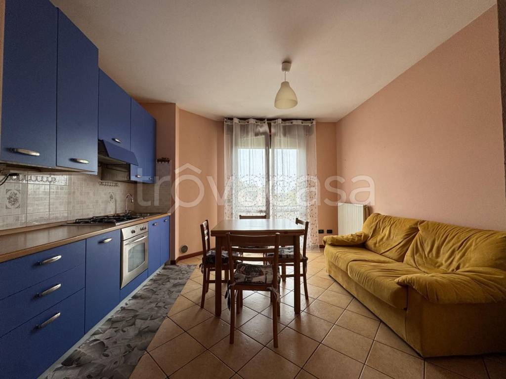 immagine annuncio 0 di 15