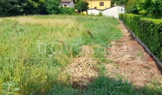 terreno agricolo in vendita a Finale Emilia in zona Massa Finalese