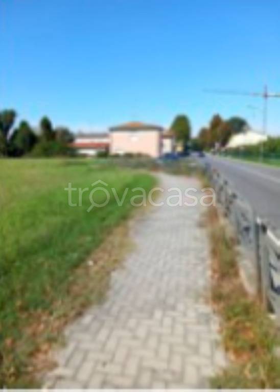 terreno agricolo in vendita a Finale Emilia