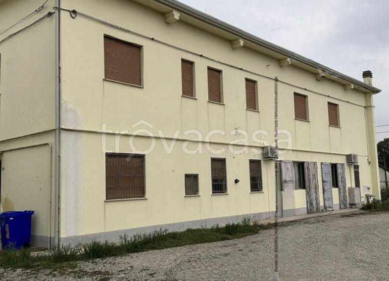 negozio in vendita a Finale Emilia