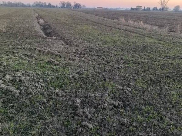 terreno agricolo in vendita a Finale Emilia