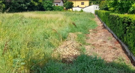 terreno edificabile in vendita a Finale Emilia in zona Massa Finalese