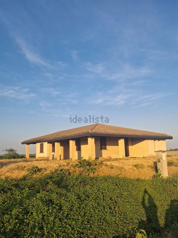 esavano in vendita a Finale Emilia