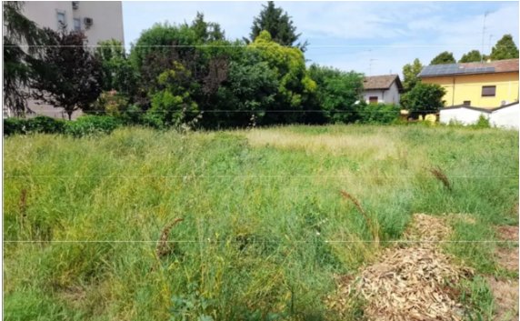 terreno edificabile in vendita a Finale Emilia in zona Massa Finalese