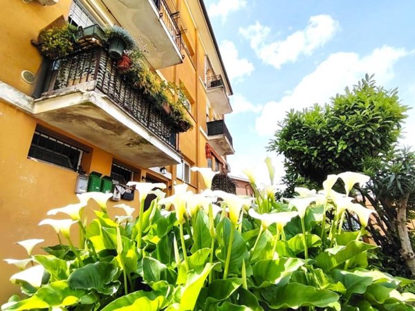 appartamento in vendita a Finale Emilia