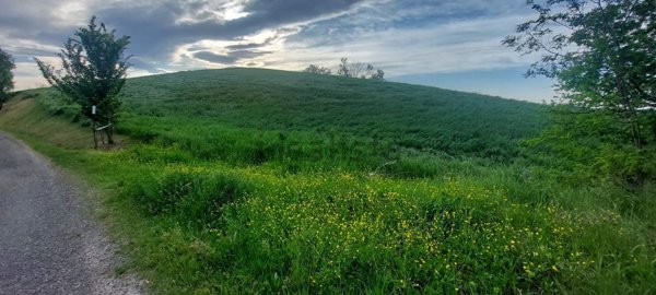 terreno agricolo in vendita a Fiorano Modenese