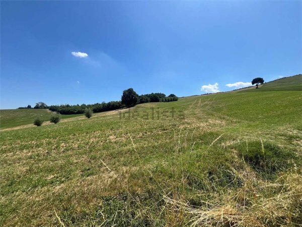 terreno agricolo in vendita a Fiorano Modenese