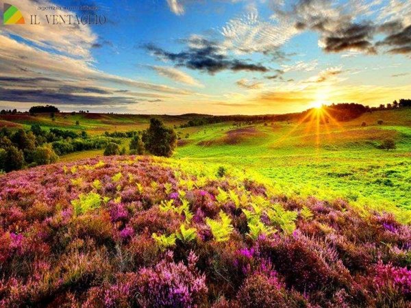 terreno agricolo in vendita a Fiorano Modenese
