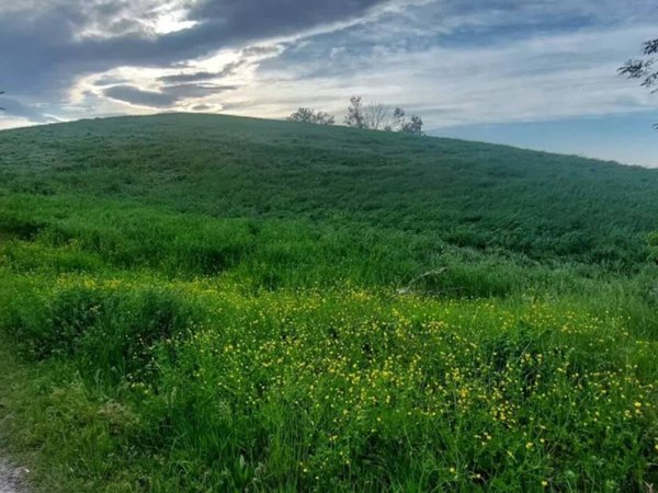 terreno agricolo in vendita a Fiorano Modenese in zona Nirano