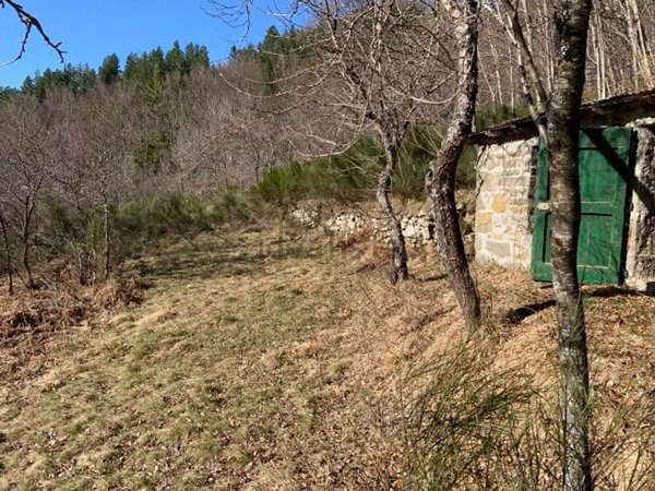 appartamento in vendita a Fiumalbo in zona Frescarolo