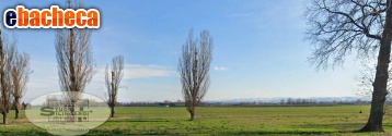 ufficio in vendita a Formigine
