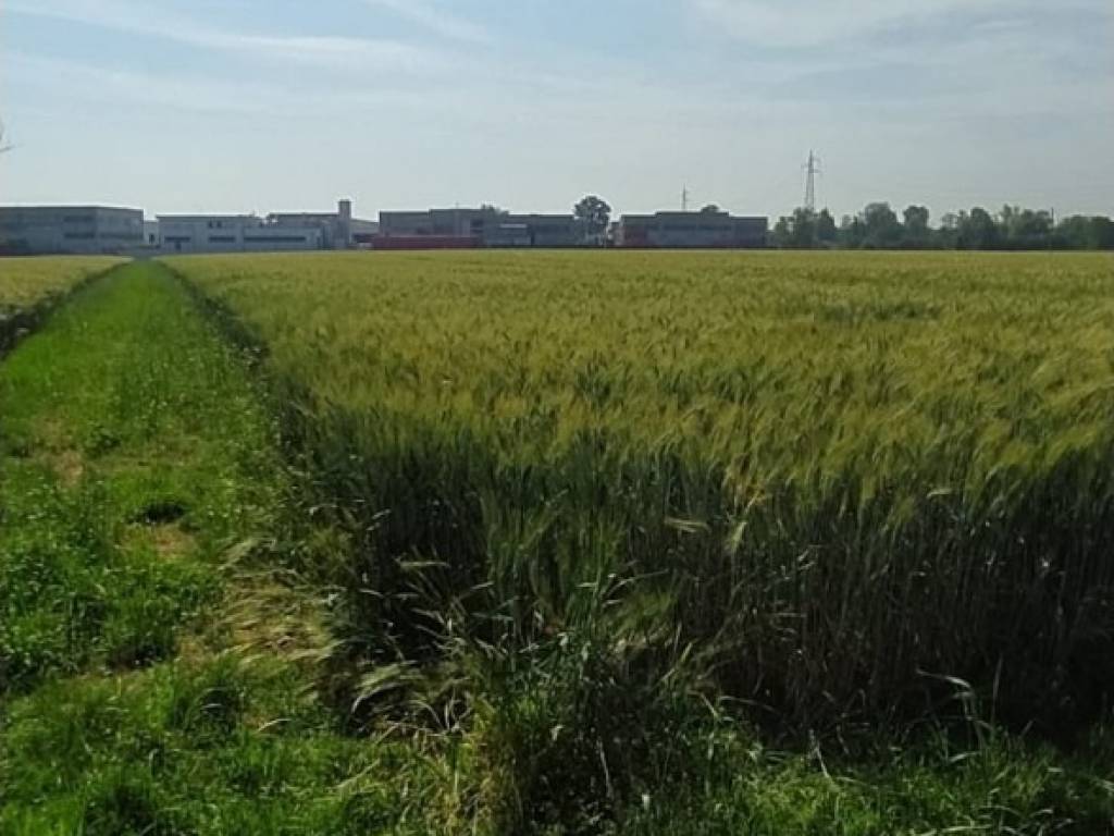 terreno agricolo in vendita a Formigine