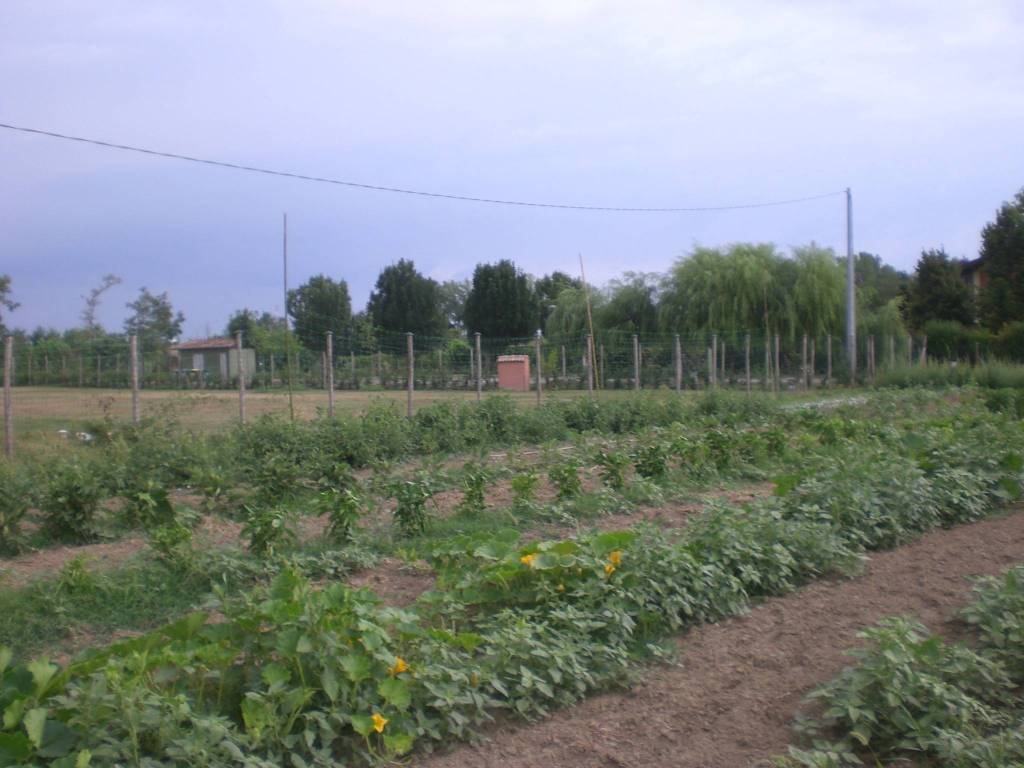 terreno agricolo in vendita a Formigine in zona Colombaro