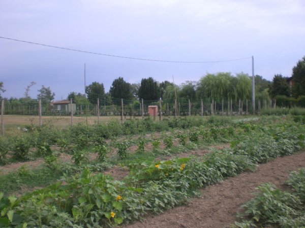 terreno agricolo in vendita a Formigine in zona Colombaro