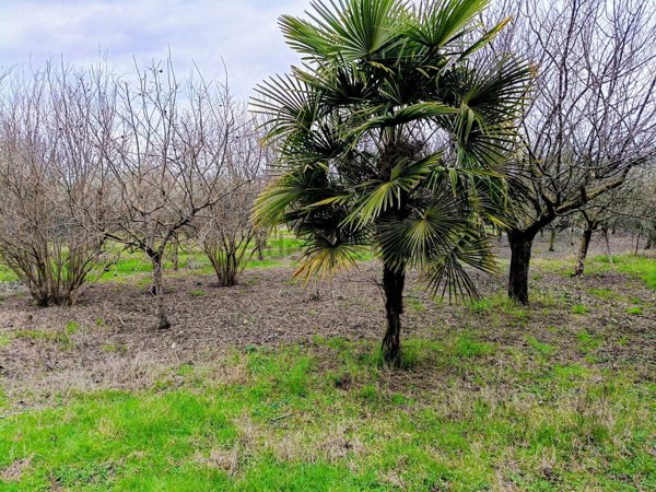 terreno agricolo in vendita a Formigine