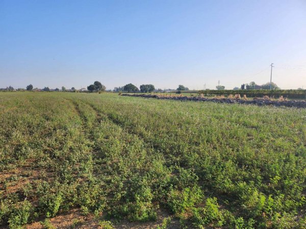 terreno agricolo in vendita a Formigine