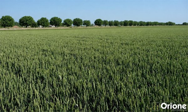 terreno agricolo in vendita a Formigine