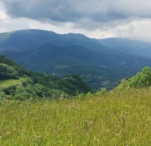 casa indipendente in vendita a Frassinoro