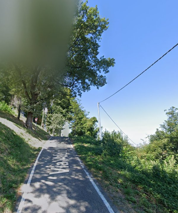 terreno agricolo in vendita a Guiglia