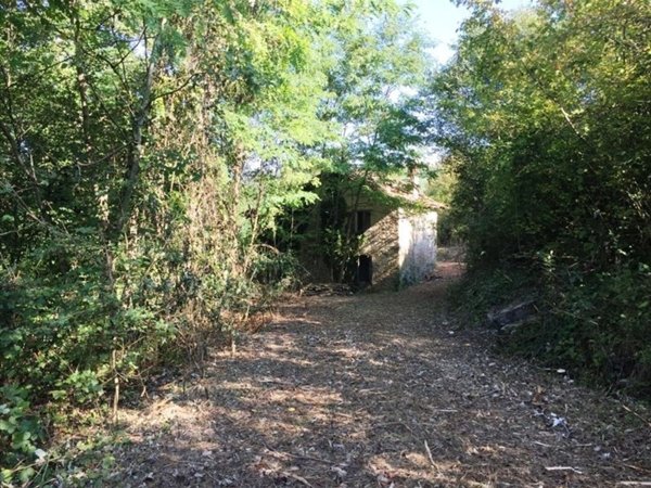 appartamento in vendita a Guiglia