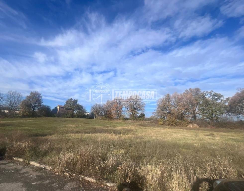 casa indipendente in vendita a Guiglia