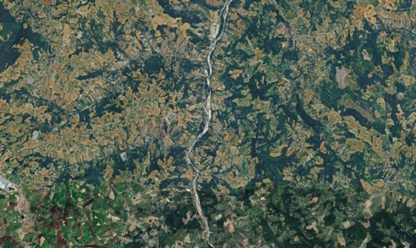 terreno agricolo in vendita a Guiglia