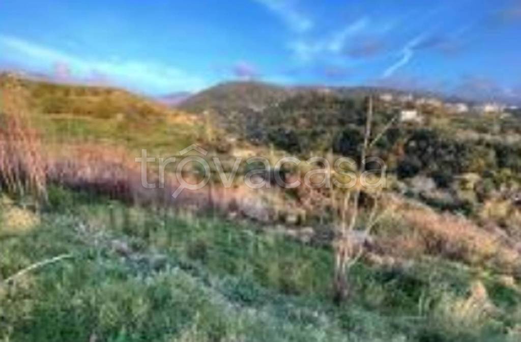 casa indipendente in vendita a Guiglia