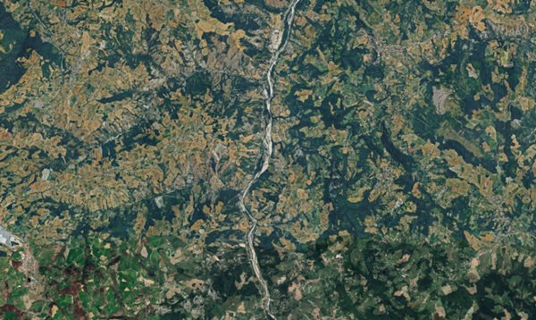 terreno agricolo in vendita a Guiglia