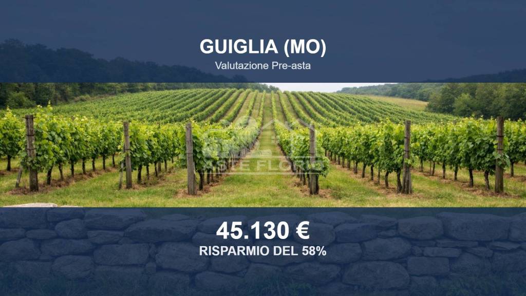 terreno edificabile in vendita a Guiglia in zona Samone