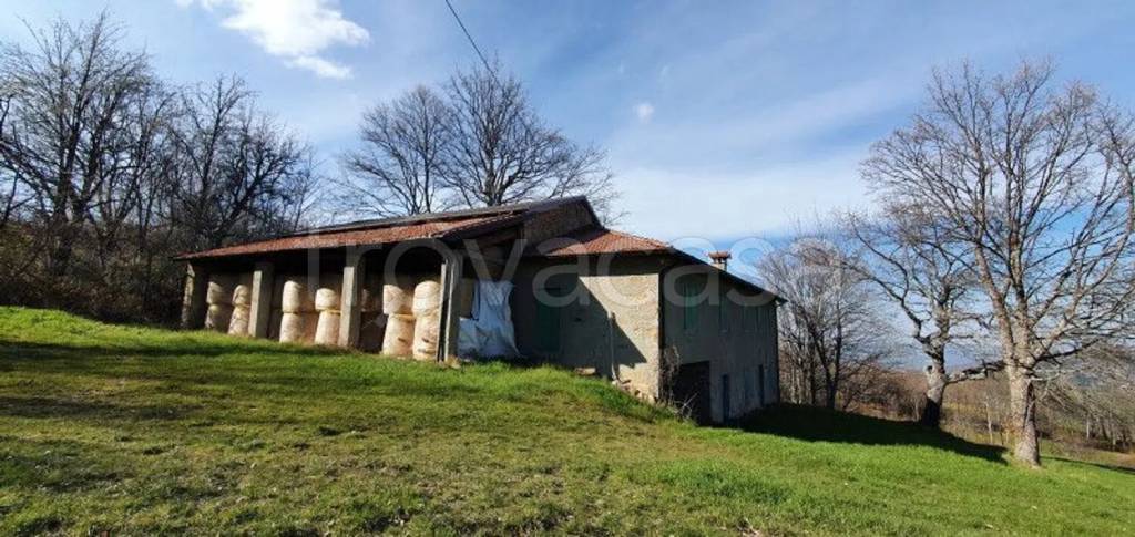 casa indipendente in vendita a Lama Mocogno in zona Borra