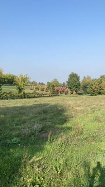 pentavano in vendita a Maranello