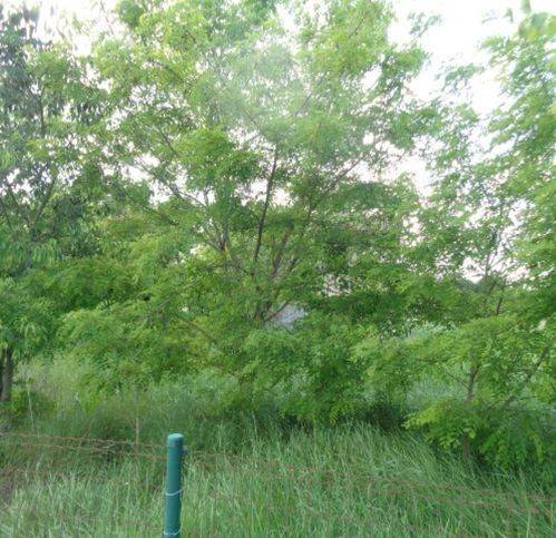 casa indipendente in vendita a Maranello in zona Torre Maina