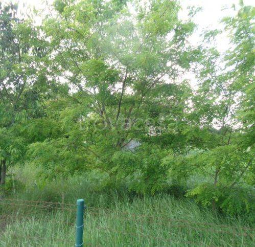 casa indipendente in vendita a Maranello in zona Torre Maina