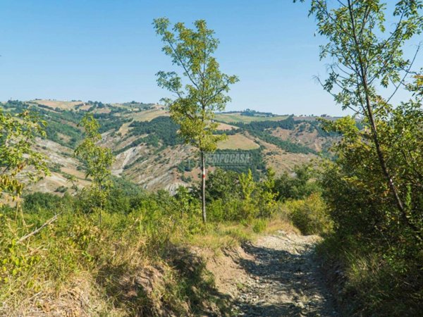 terreno agricolo in vendita a Marano sul Panaro in zona Festà