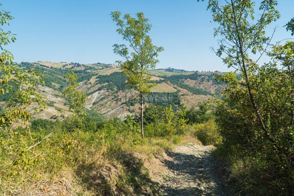 terreno agricolo in vendita a Marano sul Panaro in zona Festà