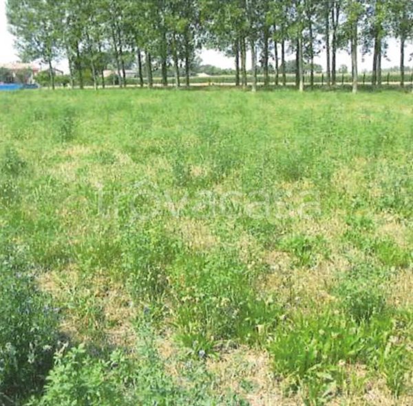 terreno agricolo in vendita a Medolla