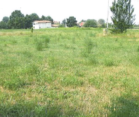 immagine annuncio 0 di 10