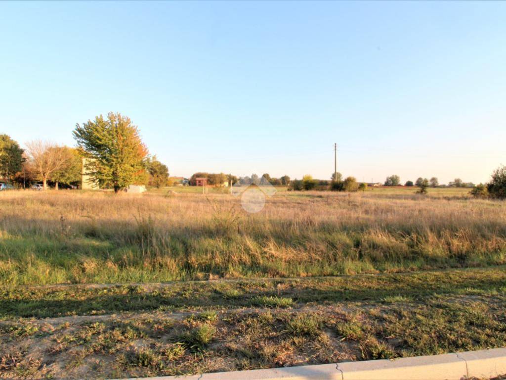 terreno agricolo in vendita a Medolla