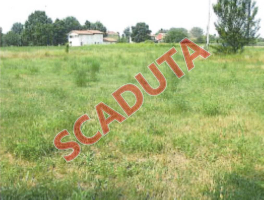 terreno agricolo in vendita a Medolla
