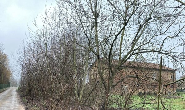 appartamento in vendita a Medolla