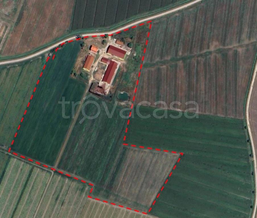 azienda agricola in vendita a Mirandola