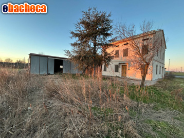 appartamento in vendita a Mirandola