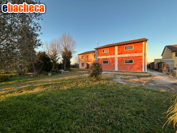 appartamento in vendita a Mirandola