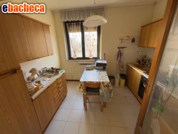 appartamento in vendita a Mirandola