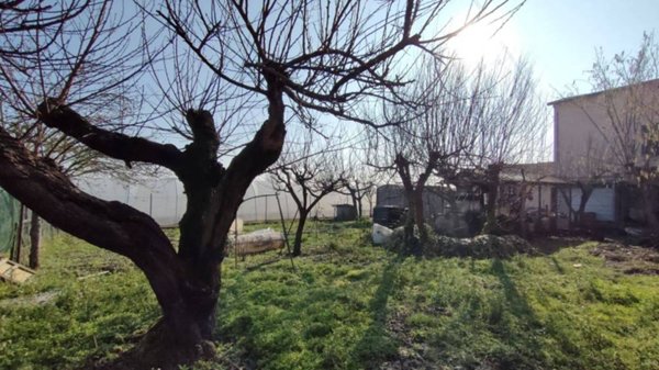 casa indipendente in vendita a Mirandola